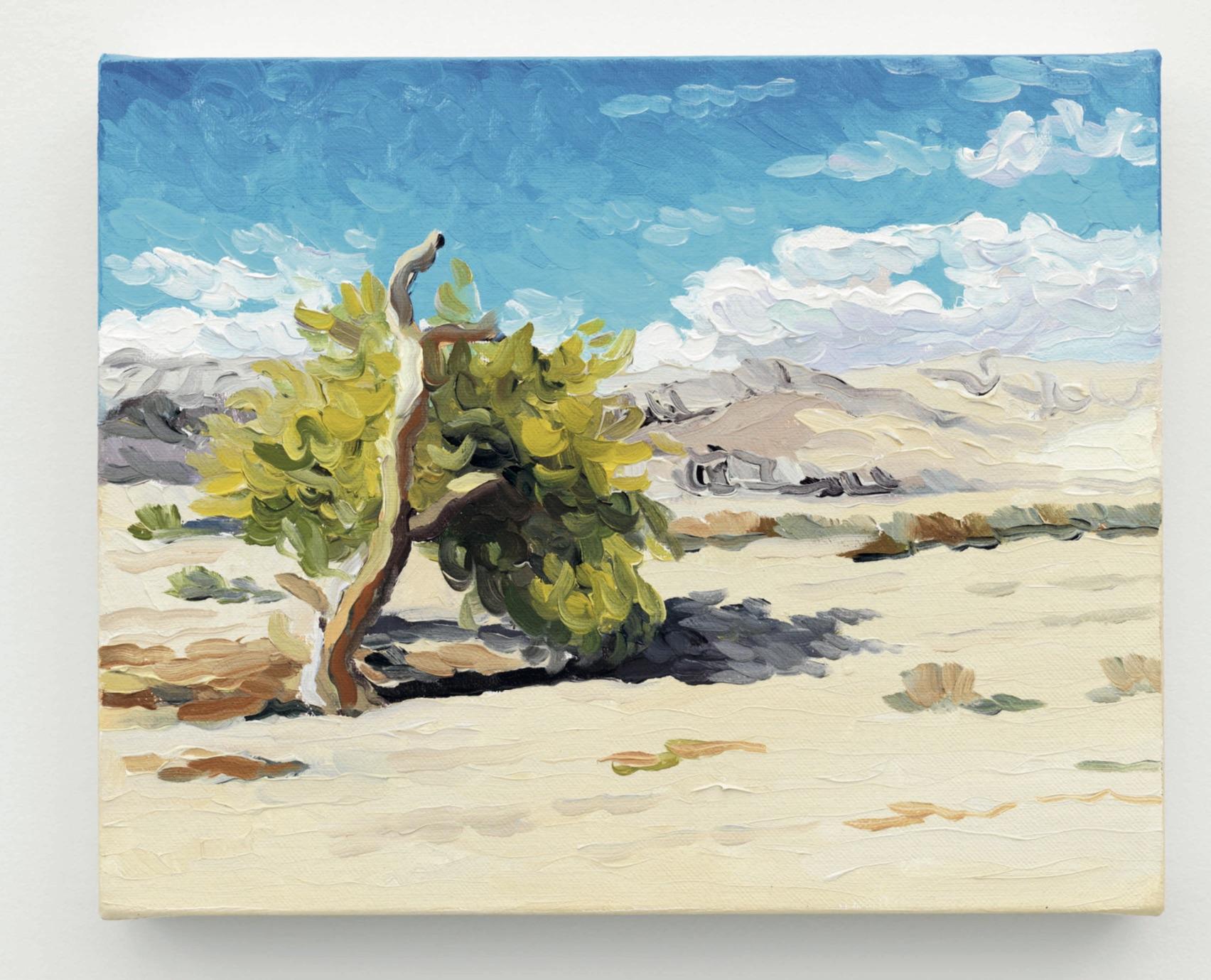 Cynthia Daignault: Light Atlas