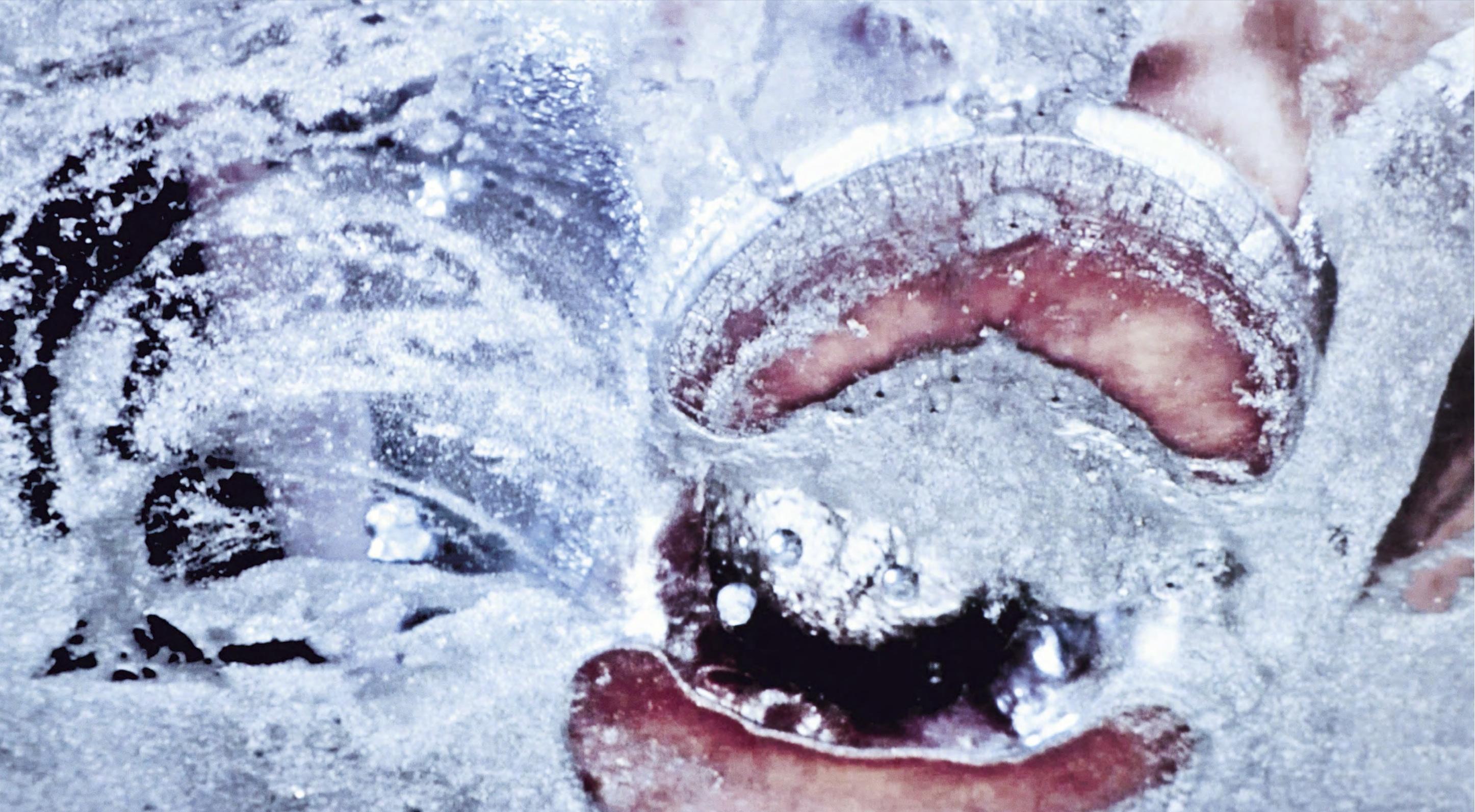 Marilyn Minter: Pretty / Dirty