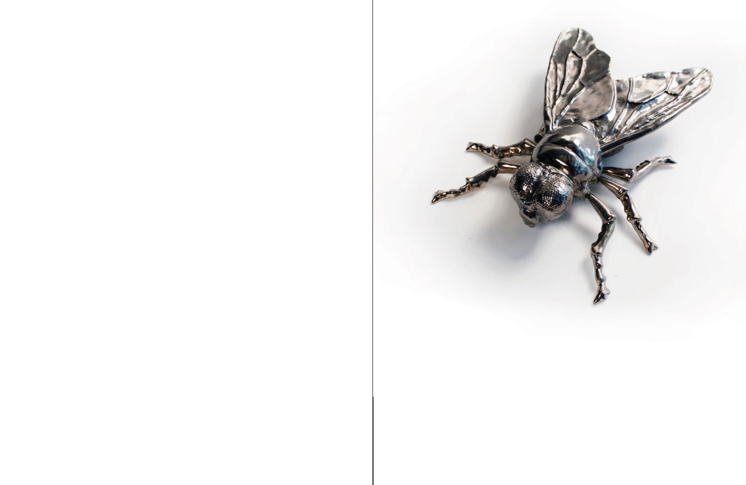 Rob Wynne: Obstacle Illusion