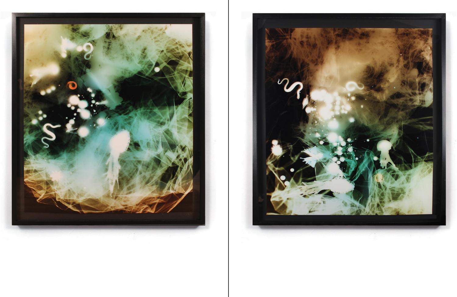 Rob Wynne: Obstacle Illusion