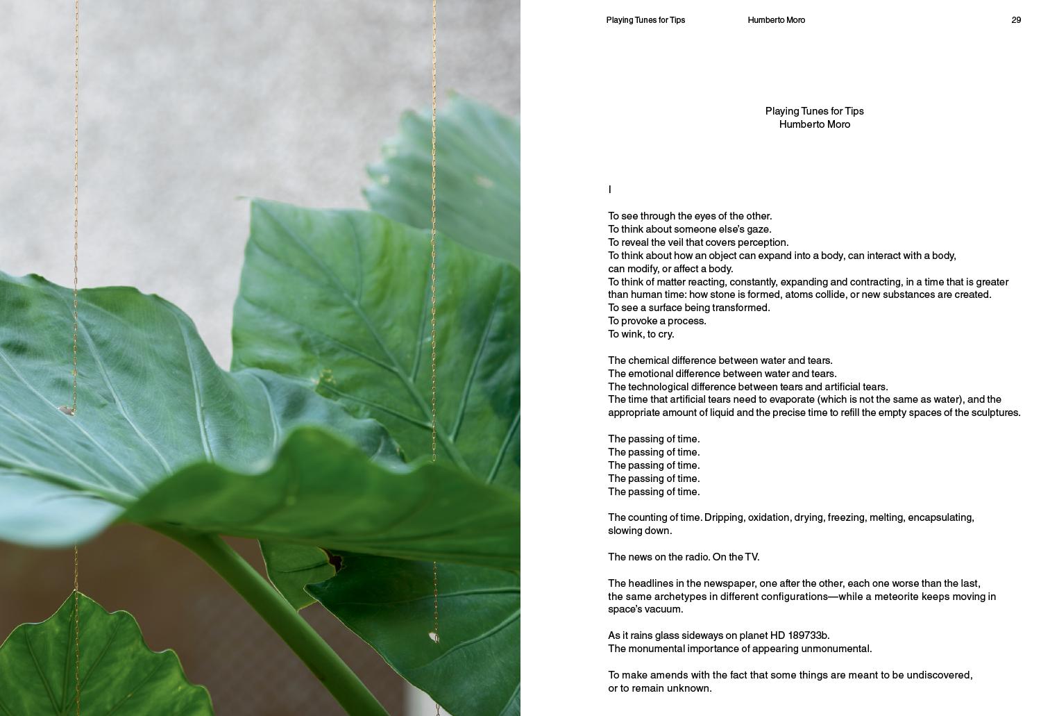 Tania Pérez Córdova: Generalization