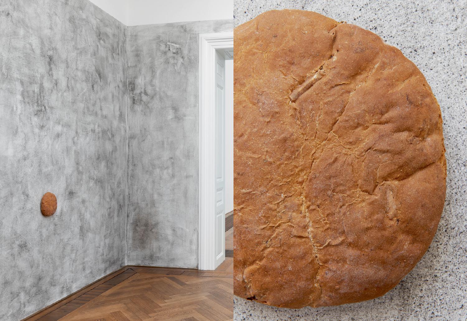 Tania Pérez Córdova: Generalization